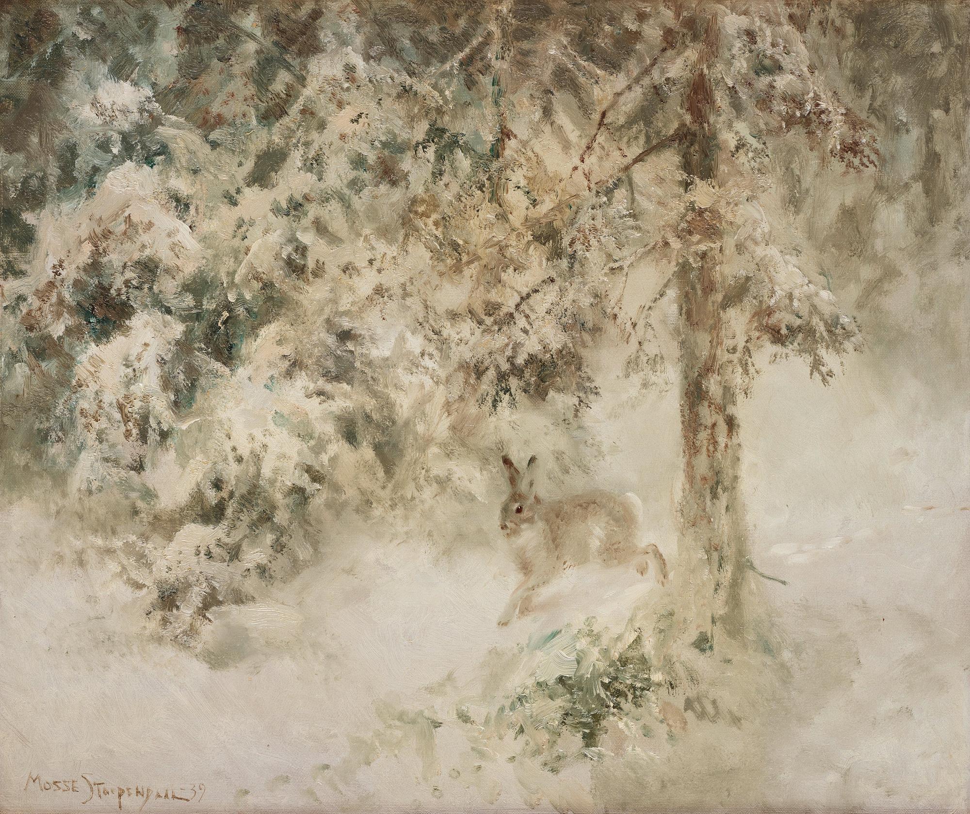 Mosse Stoopendaal, "Hare i skog" (Hare in the woods).