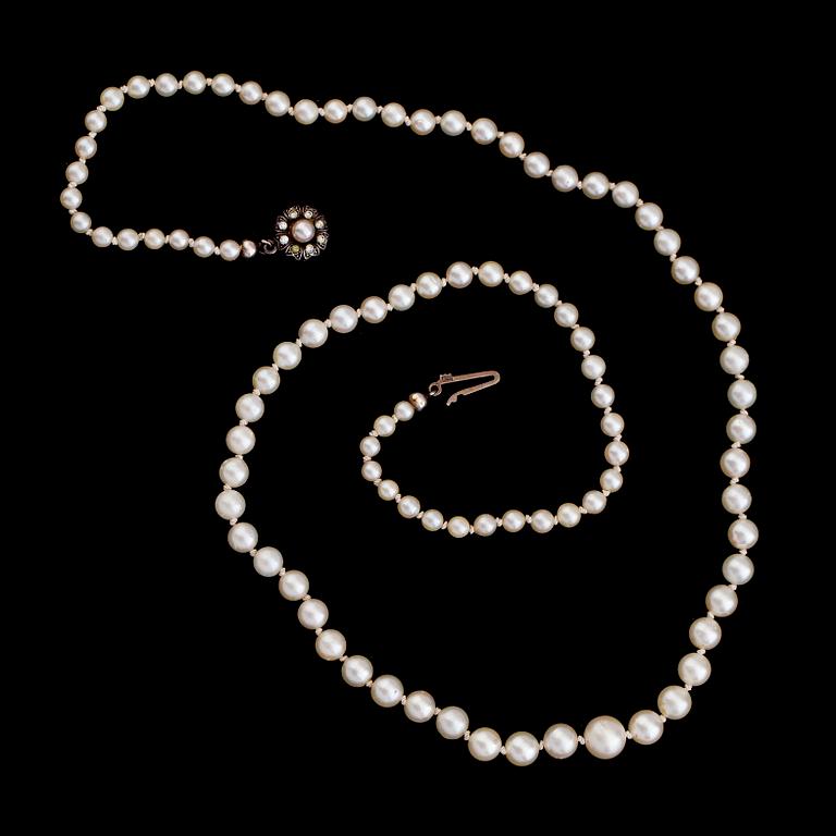 PÄRLCOLLIER, odlade doserade pärlor, silverlås.