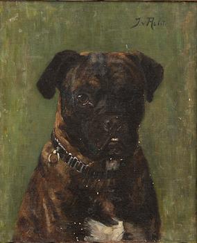 Johan von Holst, Dog portrait, Boxer.