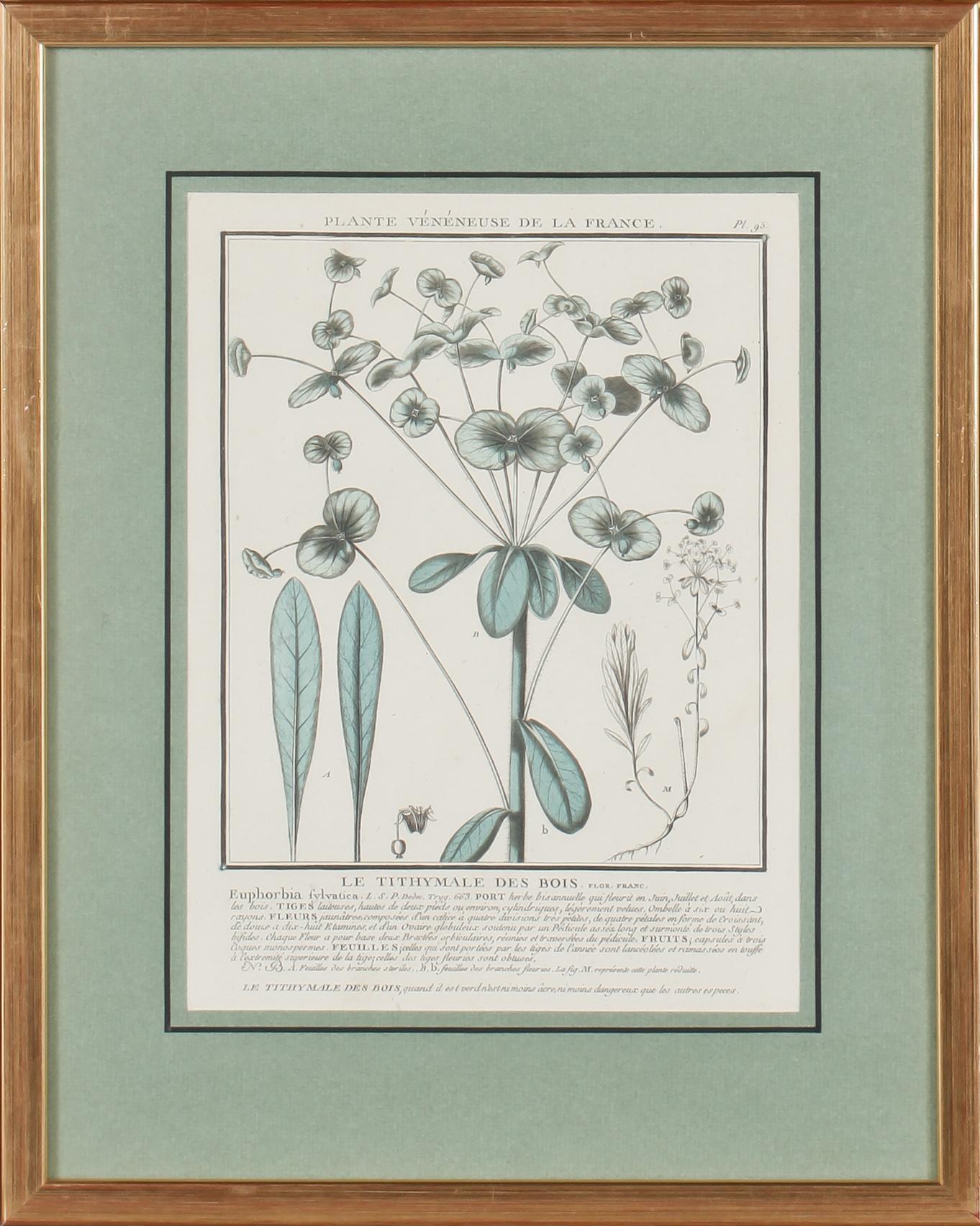GRAFISKA BLAD, 4 st, kolorerade, 1700/1800-tal.