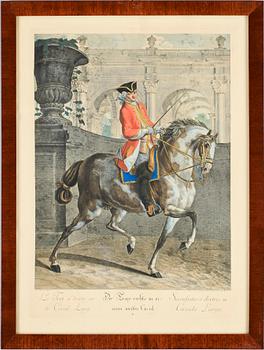 JOHANN ELIAS RIDINGER, efter, gravyrer, 9 st, omkr 1900.