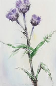 Nandor Mikola, Blommor.