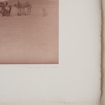 Denise Grünstein, "Jaisana", 2001.