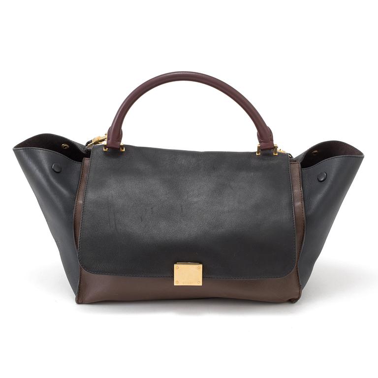 A bag by Celine "Trapeze".