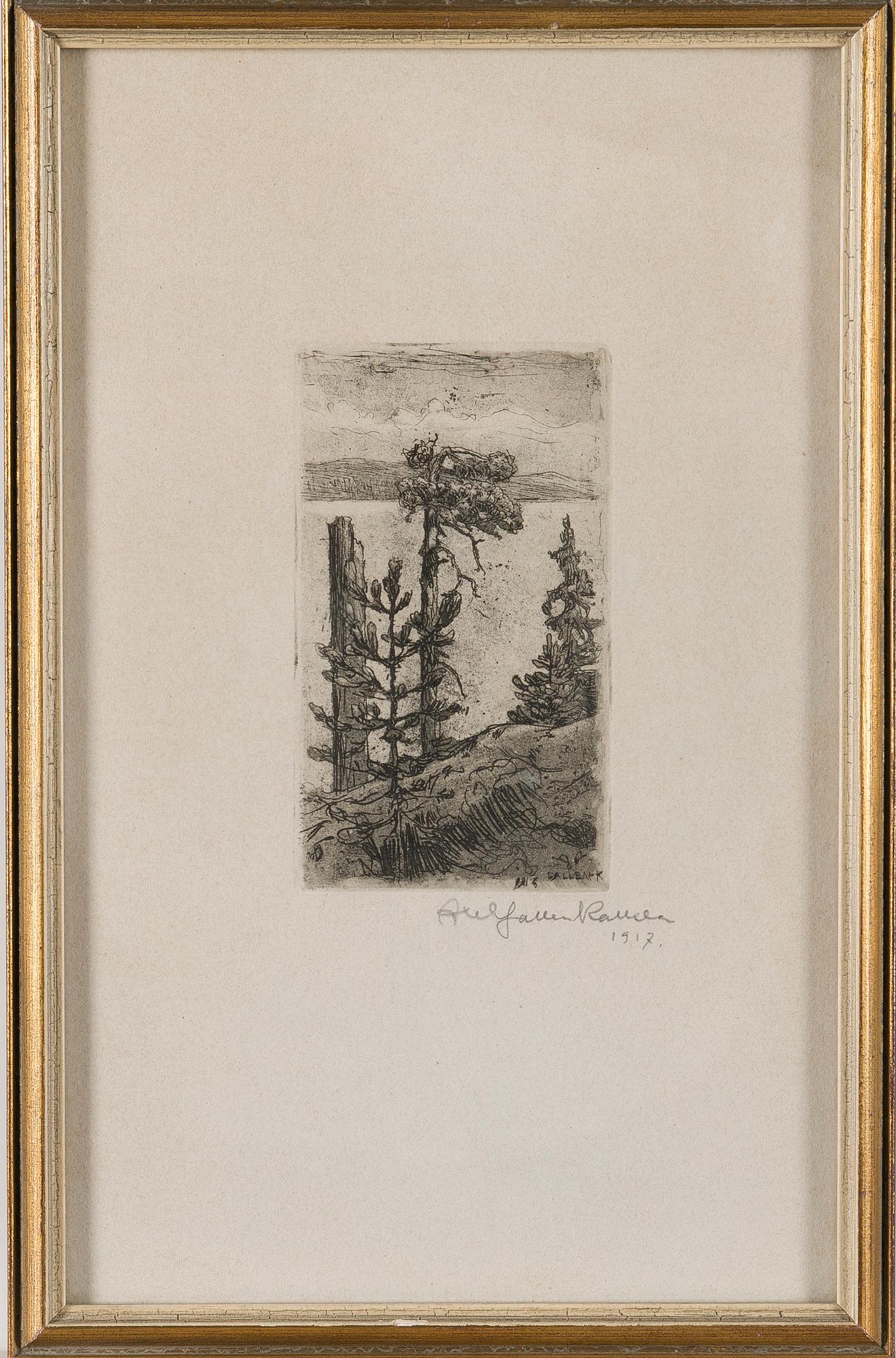 AKSELI GALLEN-KALLELA, KOLI.