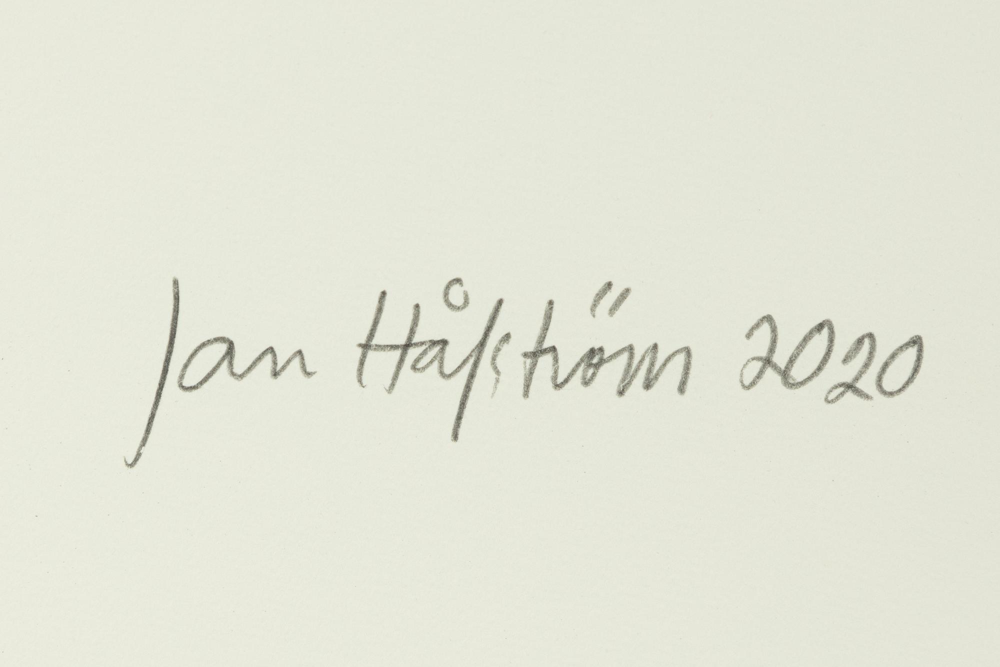 Jan Håfström, "The Investigator".