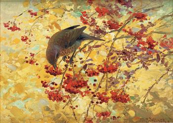 748. Thure Wallner, Sparrow in rowanberry tree.