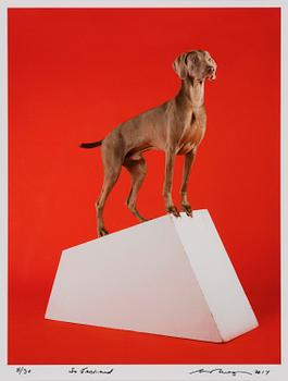 140. William Wegman, "So inclined".
