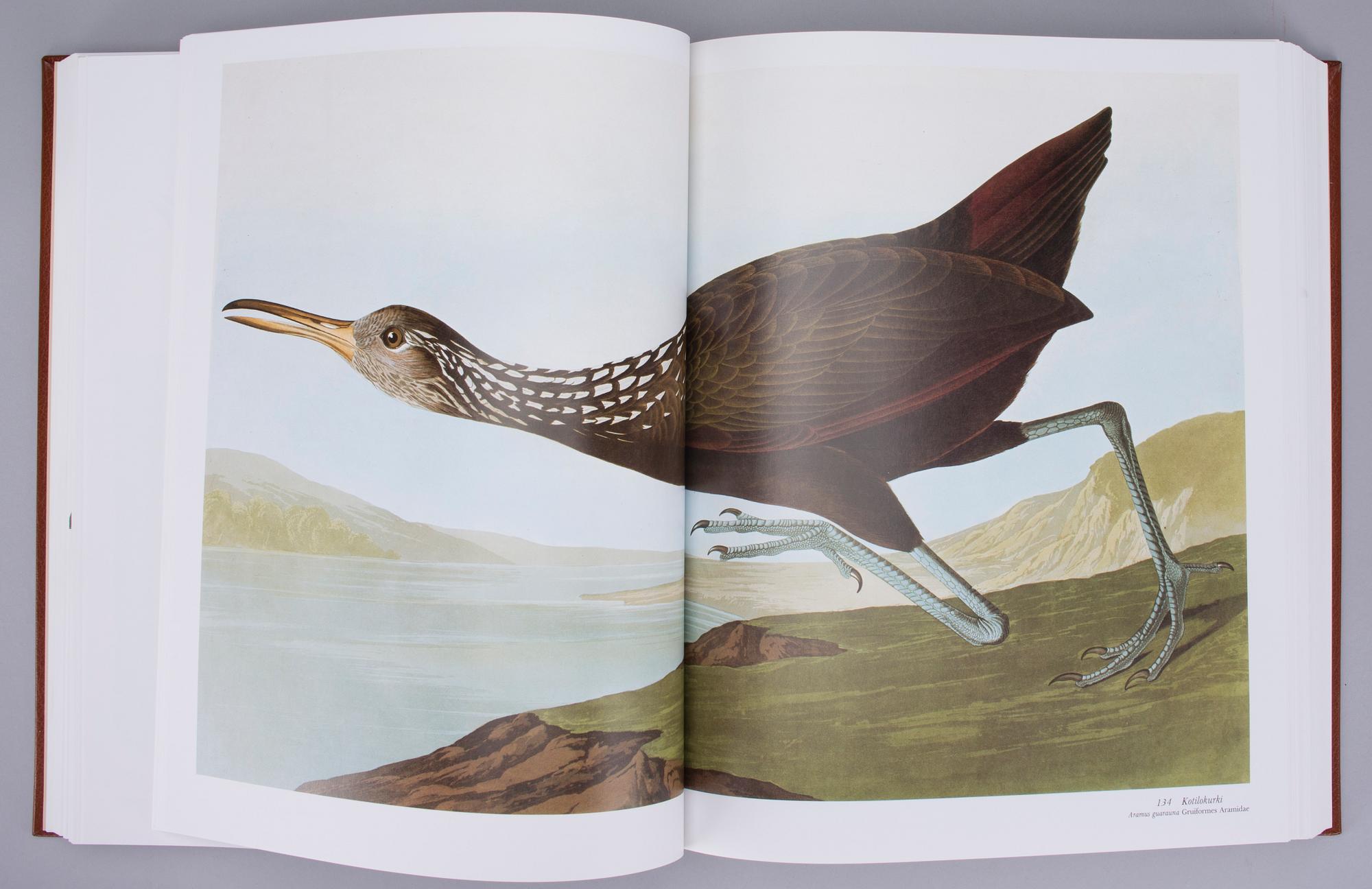 BOK, "Linnut", John James Audubon, numrerad upplaga 1050/2000, Weilin + Göös, 1990.
