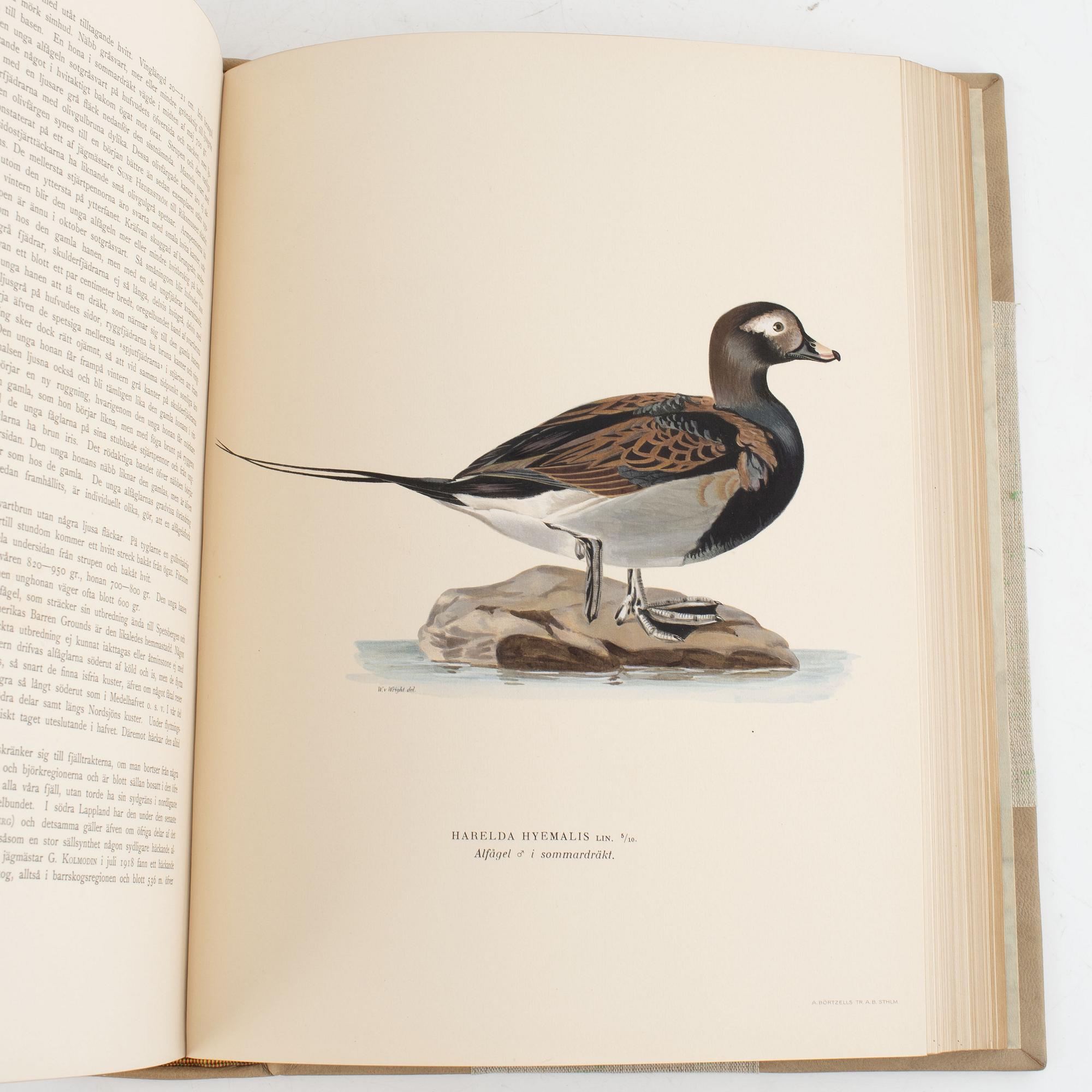 Bibliofilupplagan av von Wright: Svenska fåglar.