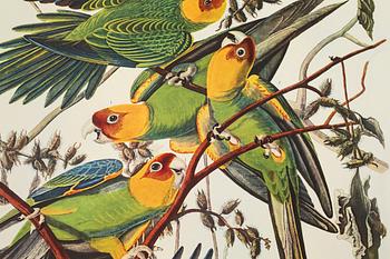 BOK, "The Birds of America", volym I, John James Audubon, numrerad 456/500, 1973.