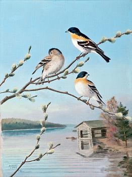 127. Matti Karppanen, BIRDS IN SPRING.