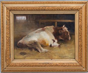 Helene Schjerfbeck, RESTING YOUNG BULL.