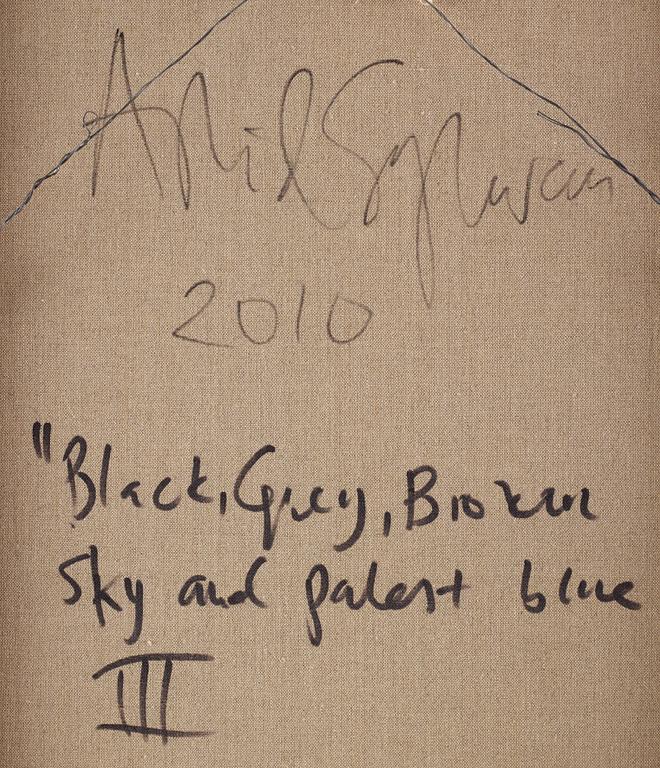 Astrid Sylwan, "Black, Grey, Broken Sky and Palest Blue III".
