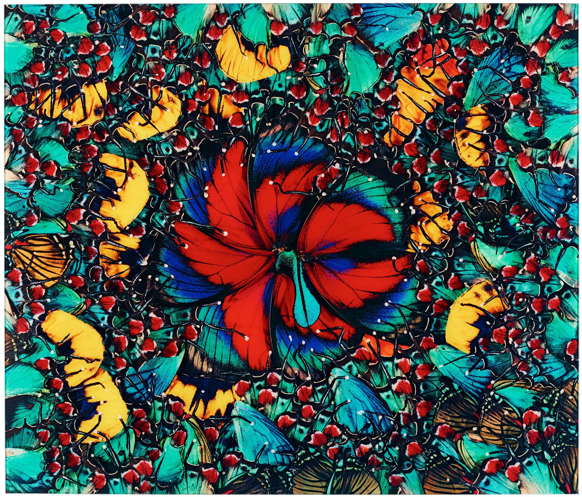 Nathalia Edenmont, "Big Bang", 2022.