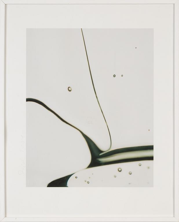 Dawid, a pigment print, signed and dated 2004.