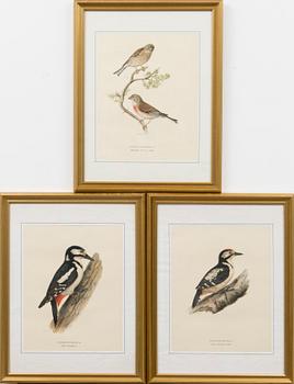 LITHOGRAPHS, 3 pcs, after Wilhelm von Wright and Bror Hallberg. A. Börtzell, Stockholm.