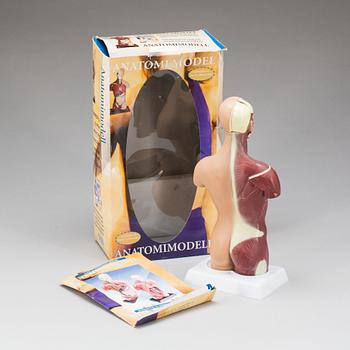 ANATOMISK MODELL, 1900-talets slut.