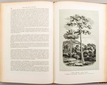 Emmanuel Le Maout, book 'Botanique. Organographie... Histoire naturalle', Paris 1855.