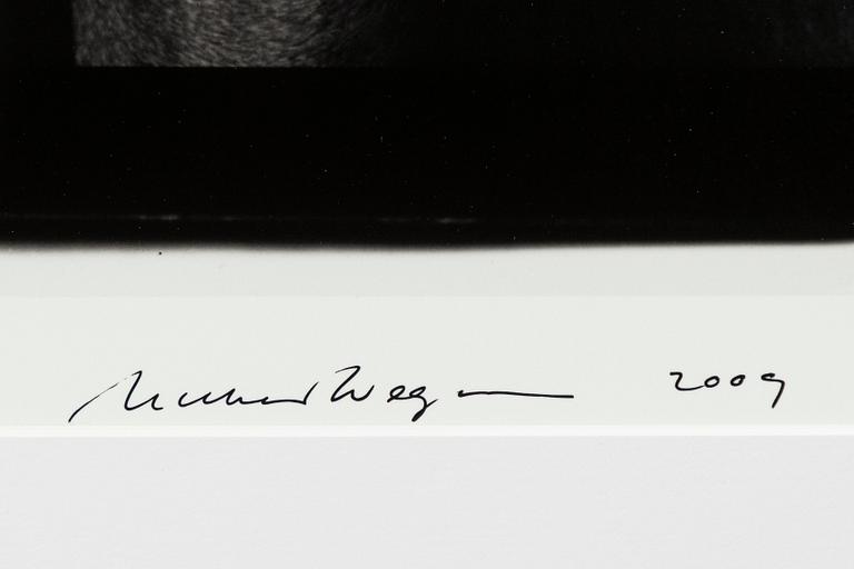 William Wegman, "Friends".