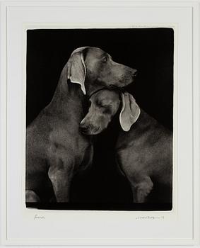 William Wegman · William Wegman, archival pigment print, 2009, signerat. Numrerat 395/1500 a tergo.