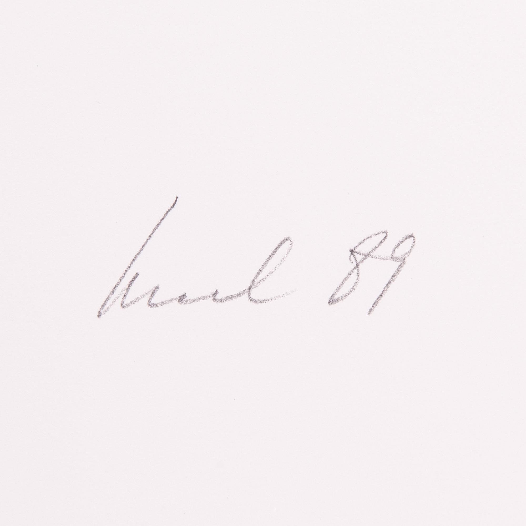 Raul Meel, "Windows and Landscape 2".