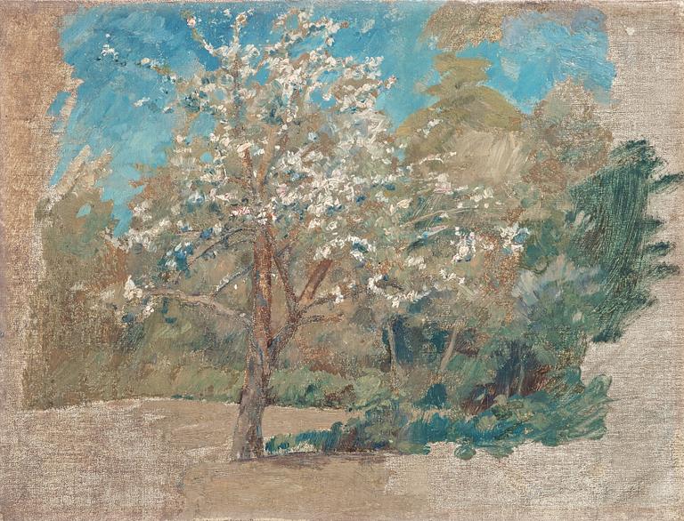 Johan Krouthén, Apple tree blooming.