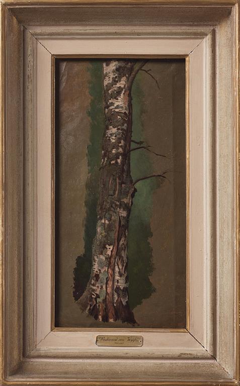 Ferdinand von Wright, Study of a Birch tree; pencilstudies of tree trunks (verso).