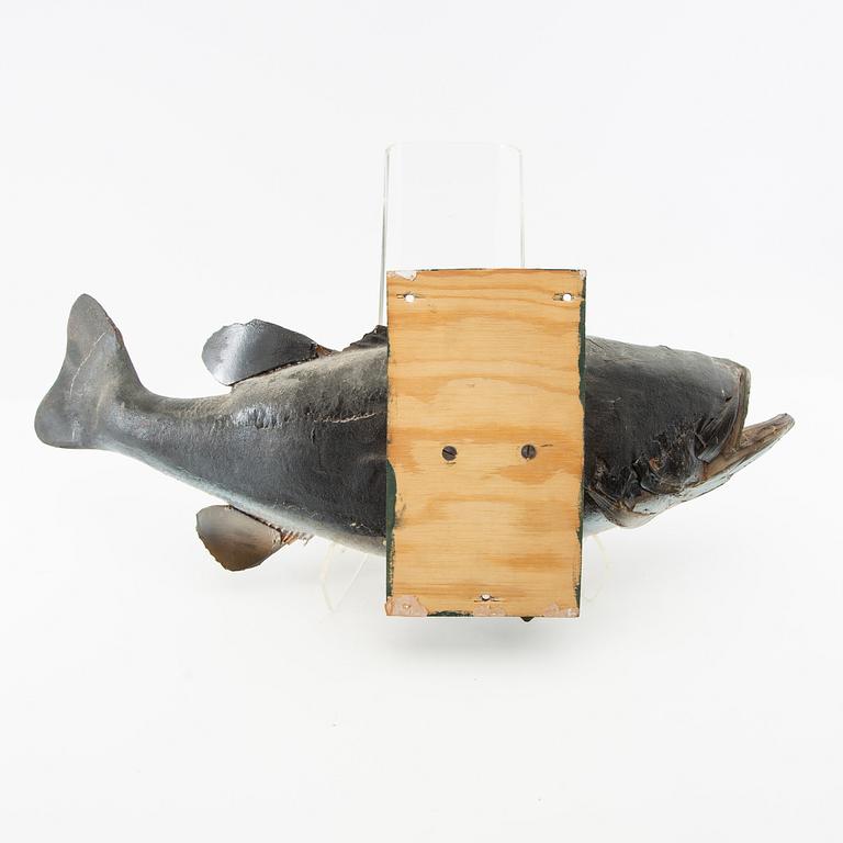 Fish sculpture "Black bass" 1960.