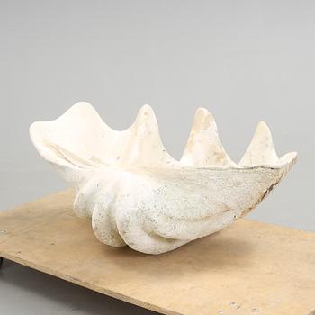 FOSSIL. Mussla.