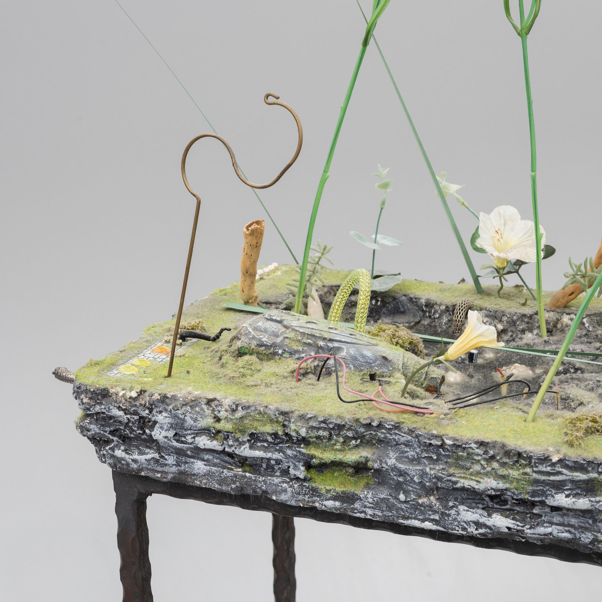 Veit Laurent Kurz, "Pond#2". (Niche Displacement Series).