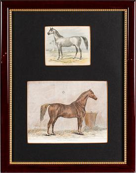 LITOGRAFISKA TRYCK, 4 st, kolorerade, omkring år 1900.