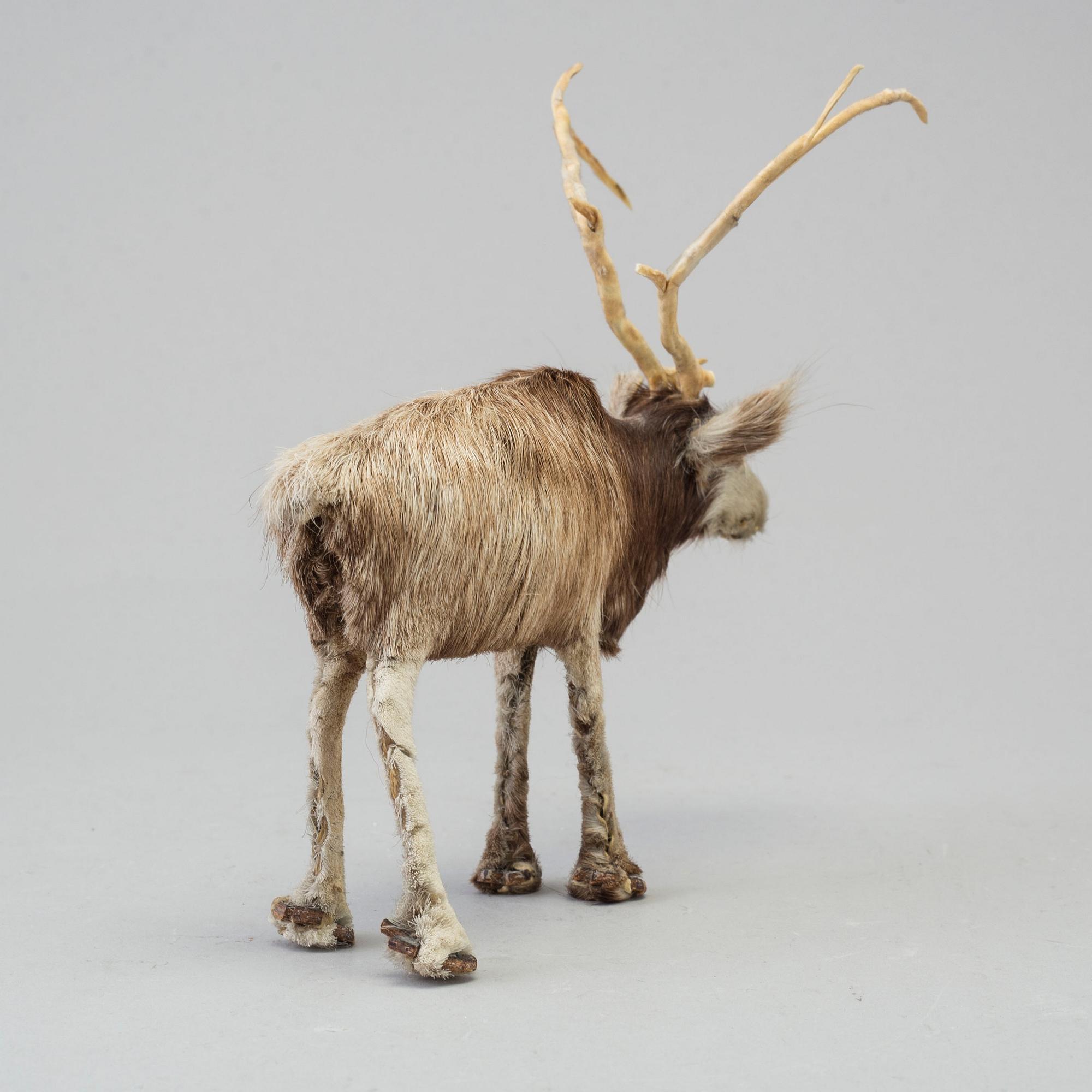 A Sami reindeer fur figure of a reindeer.