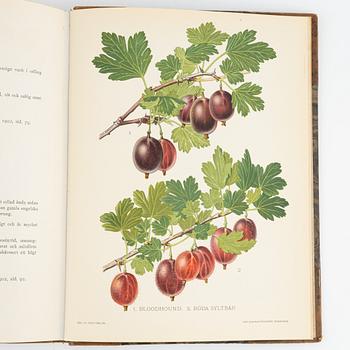 Gustaf Lind, bokverk, "Svensk frukt", samt Axel Pihl & Jakob Eriksson "Svenska Fruktsorter".