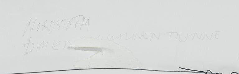 Lars-Gunnar Nordström, "Dimensionell situation".