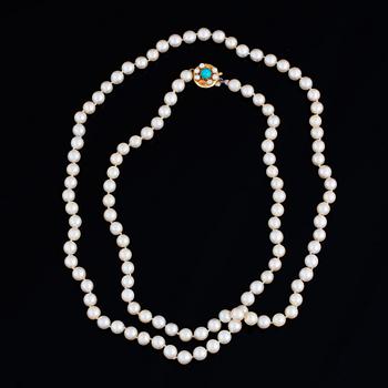 Cultured pearl necklace.