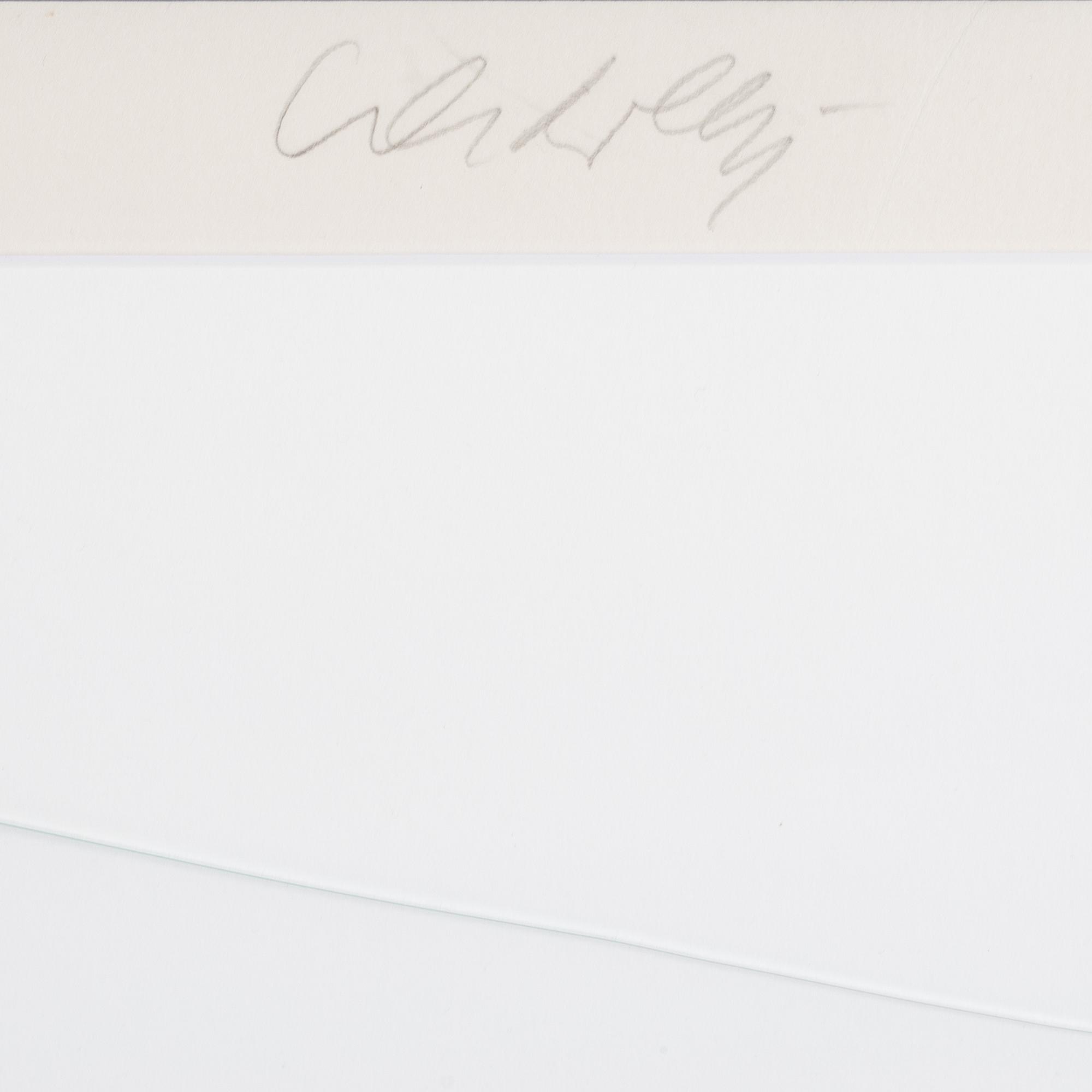 Victor Vasarely, färgserigrafi, signerad och numrerad III/XXX.