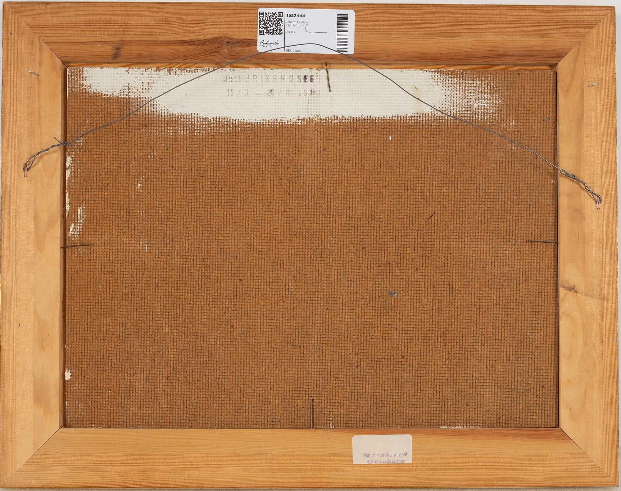 Lindorm Liljefors, Flygande knipor.