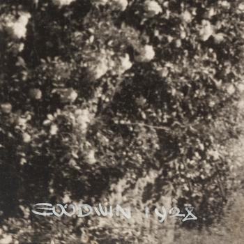 HENRY B. GOODWIN, tre fotografier signerade Goodwin och daterade 1928.