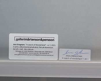 Ann Eringstam, C-print silicone mounted to aluminum and acrylic glass. Signed Ann Eringstam on label verso.