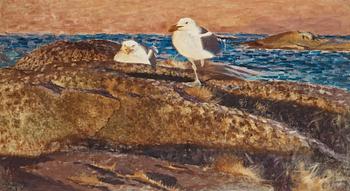 393. Bruno Liljefors, Herring gulls.