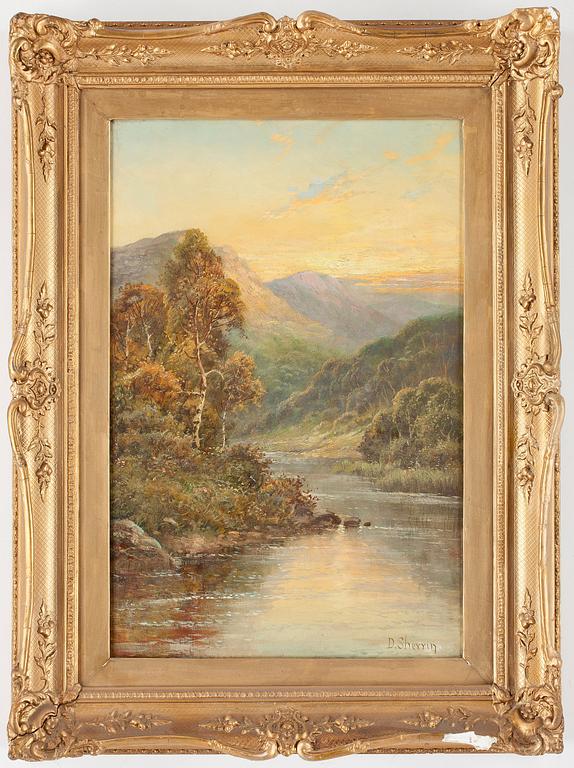 DANIEL SHERRIN, olja på duk, signerad.