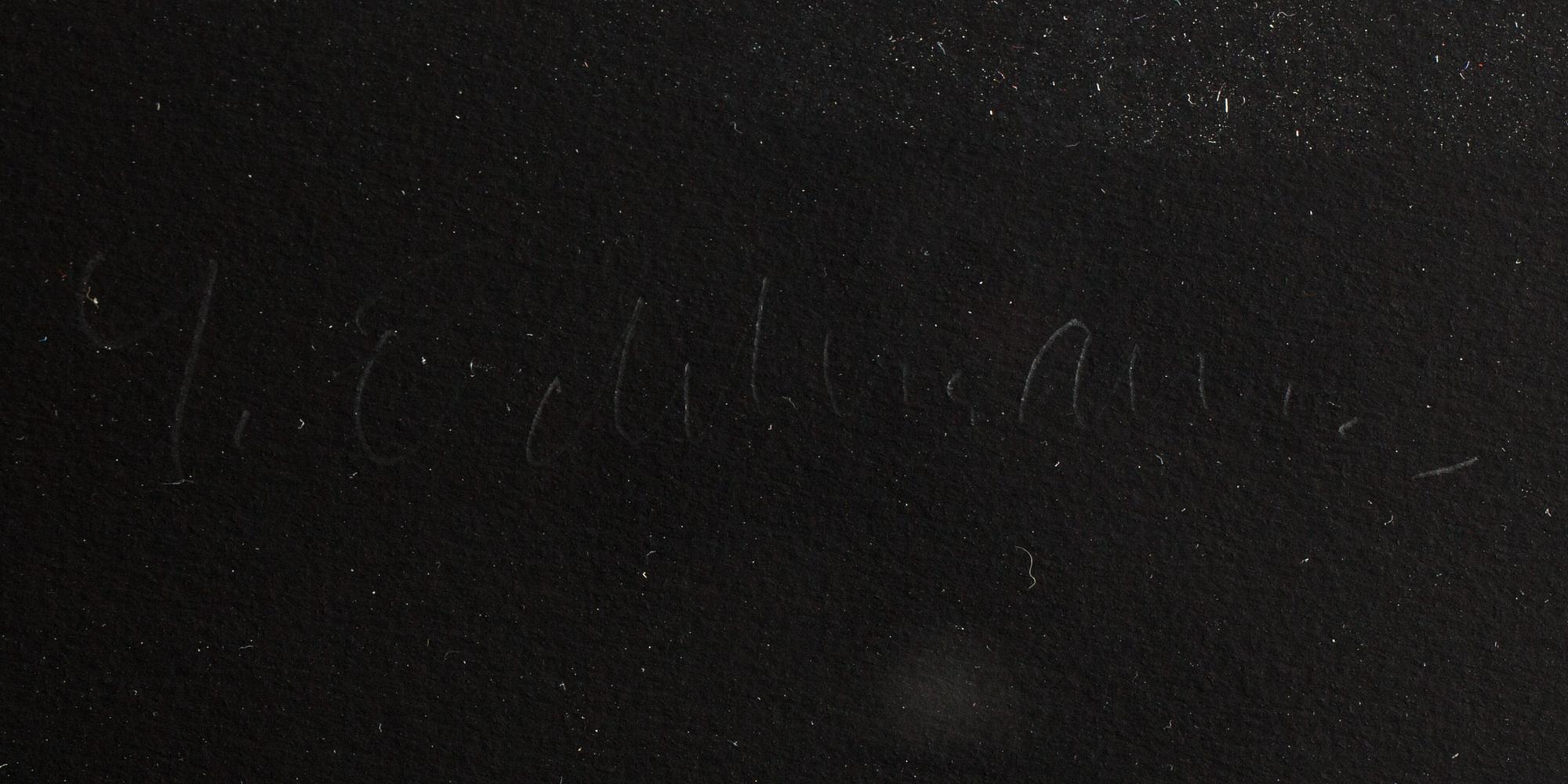 YRJÖ EDELMANN, färglitografi, signerad och numrerad 76/150.