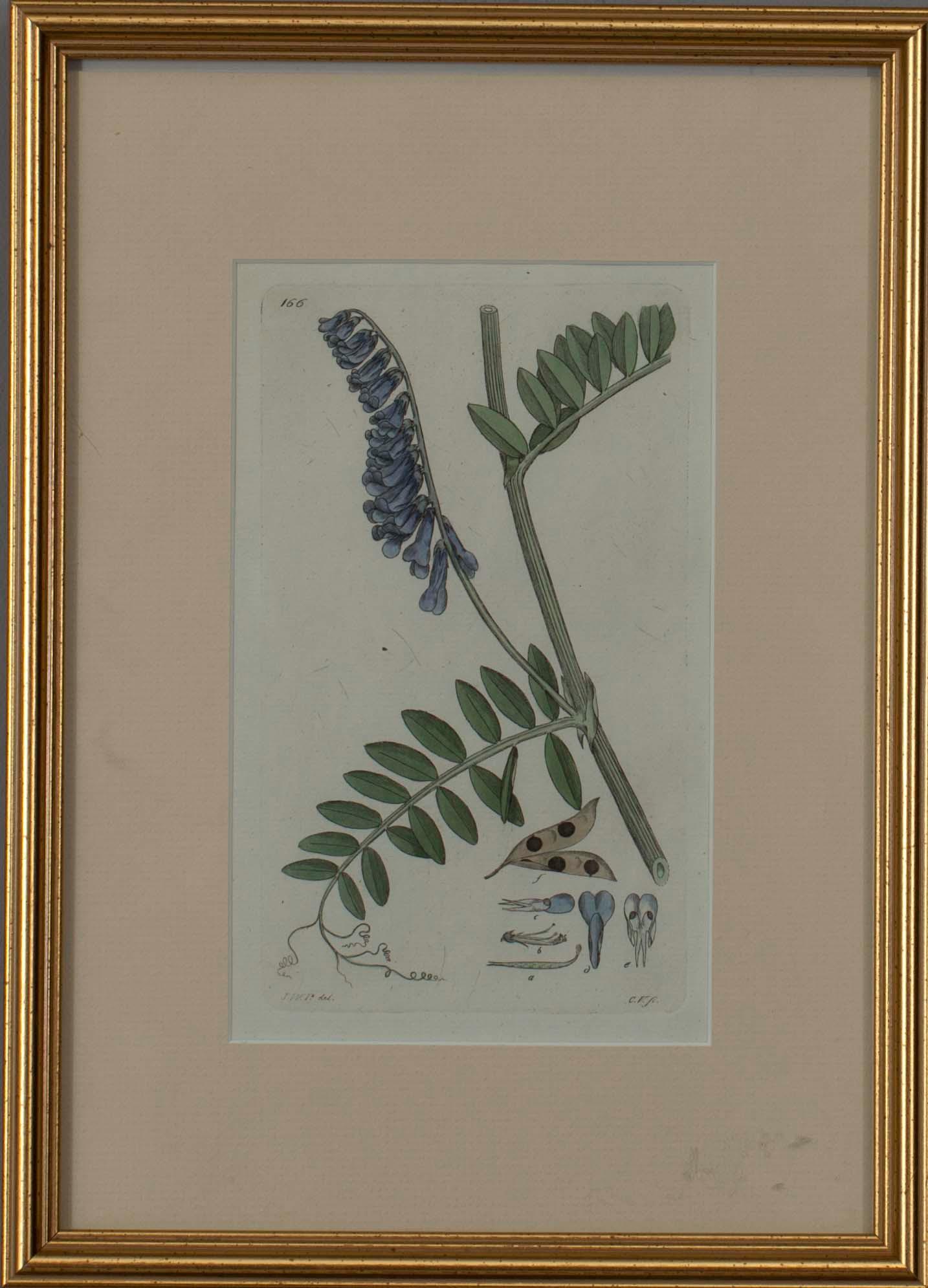 JOHAN WILHELM PALMSTRUCH, 4 st, handkolorerade kopparstick, 1800-talets början.