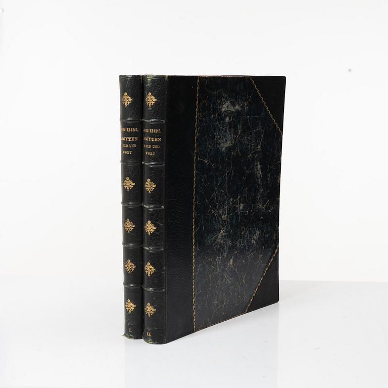 Georg Ebers, books on Egypt, two volumes, Stuttgart & Leipzig, Germany, 1879-80.