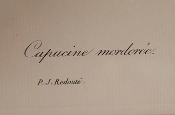 TAVLOR, 5 st, efter Redouté, tryck, 1900-talets andra hälft.