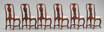 Six Swedish late Baroque 18th century chairs.