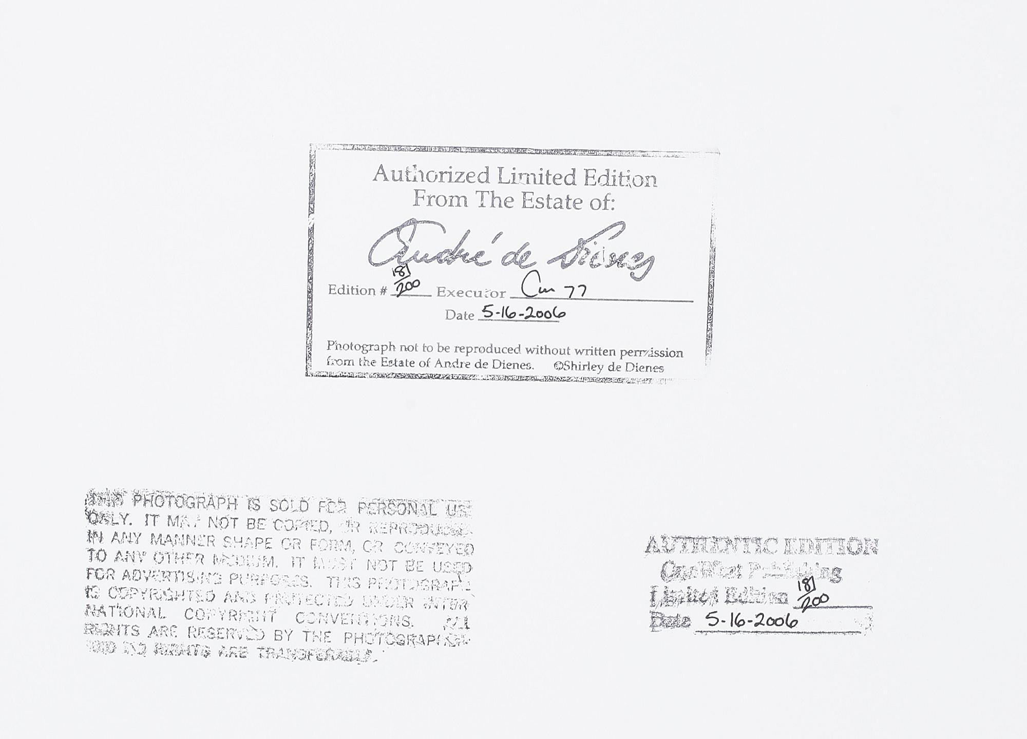 ANDRÉ DE DIENES, efter, fine art print, stämpelmärkt á tergo, numr 181/200, dat 16/5-2006.