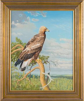 Matti Karppanen, Eagle.