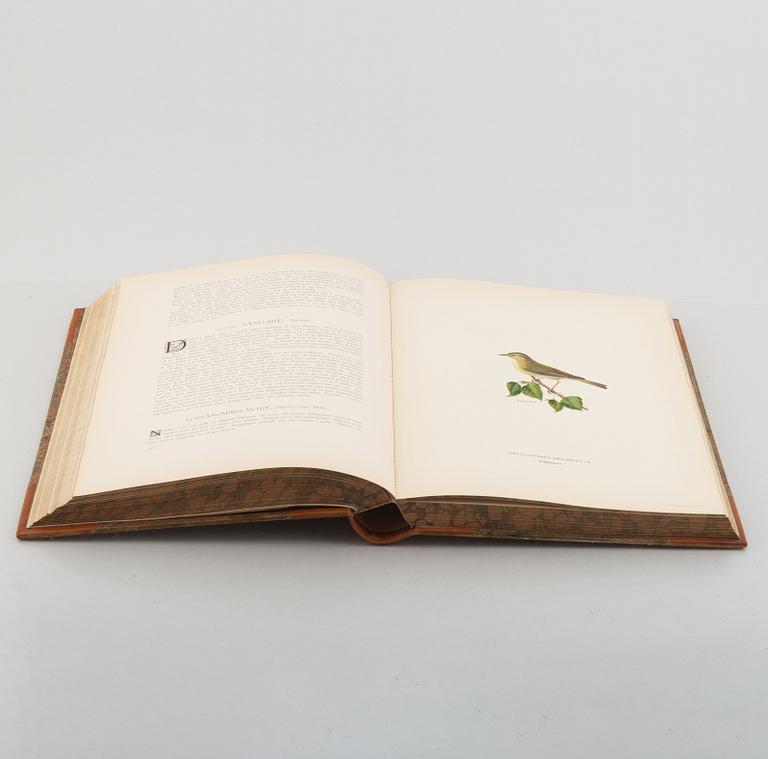 Bröderna von Wright, books 3 vol "Svenska fåglar", A. Börtzells tryckeri AB, Stockholm 1924-29.